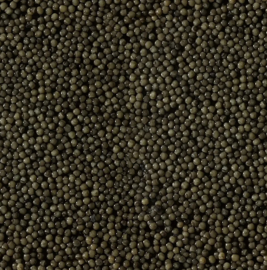 Volzhenka Oscietra Caviar - V20