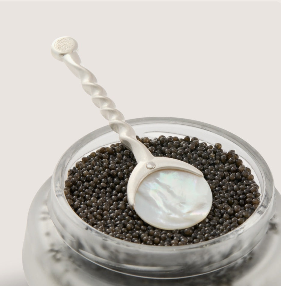 Volzhenka Mother of Pearl Designer Spoon