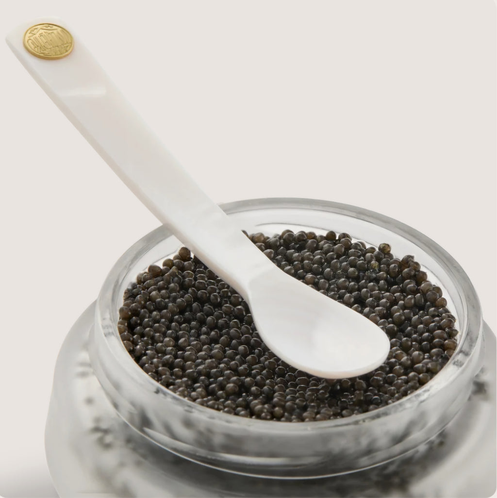Volzhenka Mother of Pearl Classic Spoon