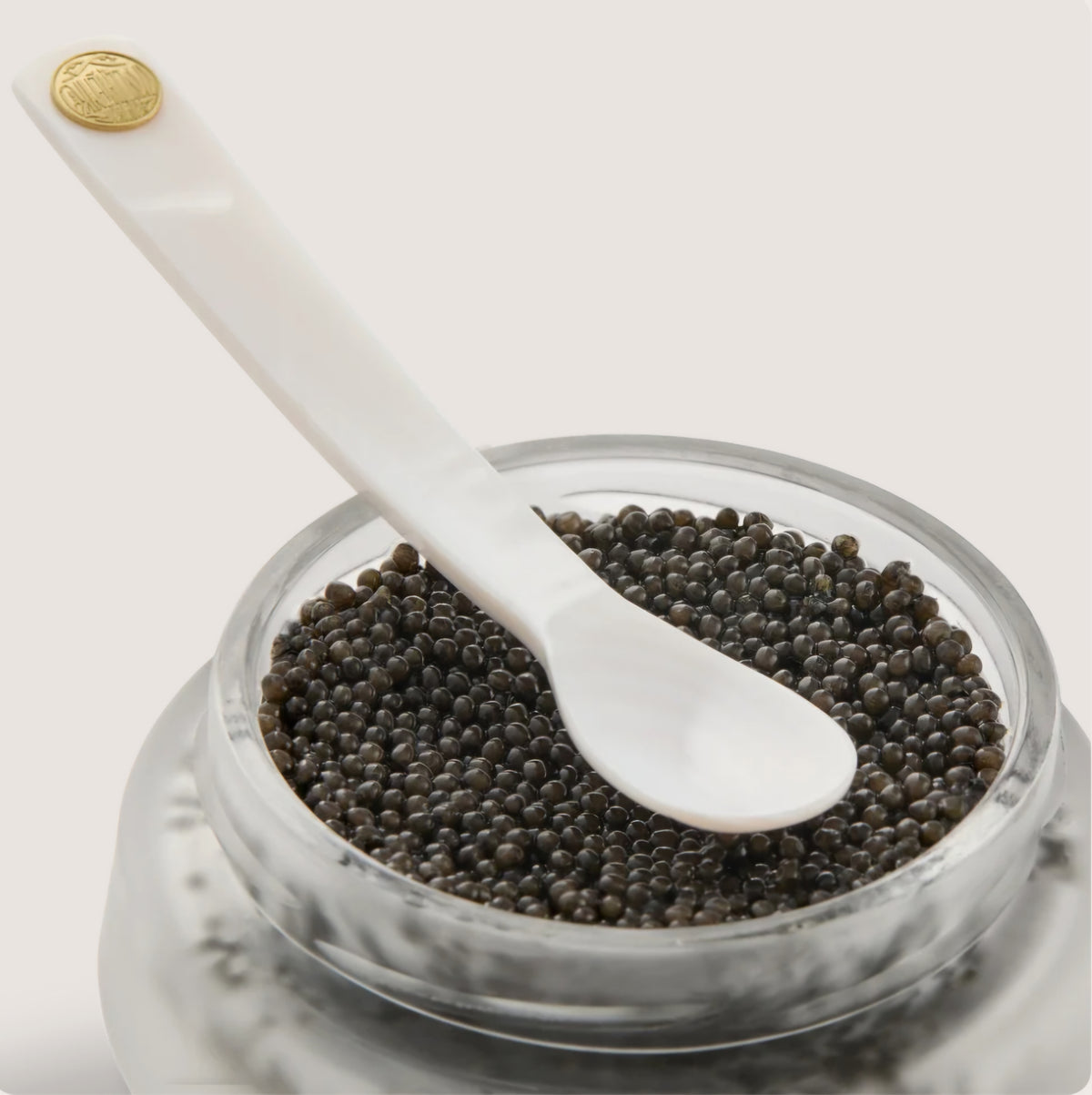Volzhenka Mother of Pearl Classic Spoon