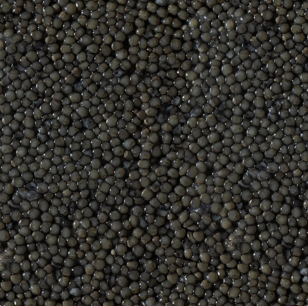 Volzhenka Beluga Caviar